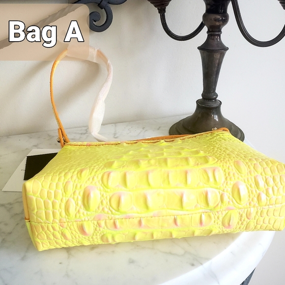 Brahmin - Picture 4 of 7